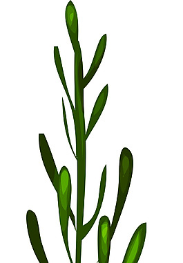 春天树枝卡通植物矢量素材