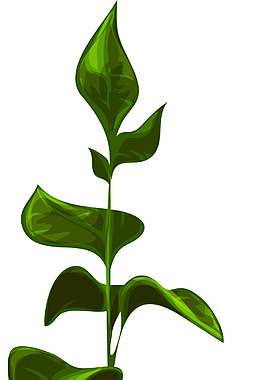 绿叶卡通植物矢量素材