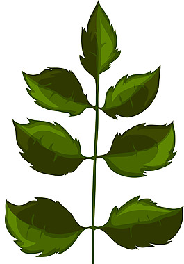 深色绿叶卡通植物矢量素材
