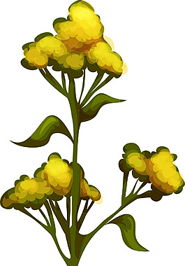 油菜花卡通植物矢量素材