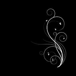 花紋素材視頻設(shè)計(jì)