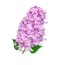 矢量紫色花朵元素