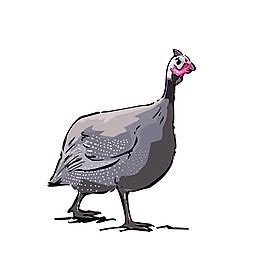 卡通素描火鸡素材设计