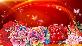 華麗牡丹花蝴蝶飛舞