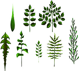 綠色樹葉卡通矢量植物裝飾素材
