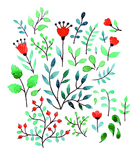 水彩花朵插畫裝飾素材