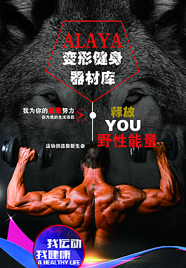 健身狼體育宣傳展架