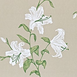 白色花朵壁纸设计
