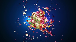 動(dòng)態(tài)鮮花花樣運(yùn)動(dòng)