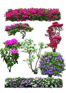 花集合psd素材匯下載