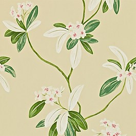 花朵綠葉枝圖案壁紙