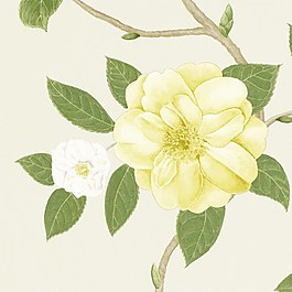 黃色花朵無縫壁紙