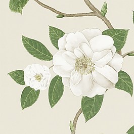 白色花朵綠葉壁紙