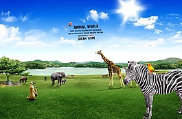 动物世界分层素材下载