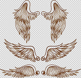 素描風格鳥類翅膀免摳png透明圖層素材