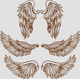 素描風格鳥類翅膀免摳png透明圖層素材