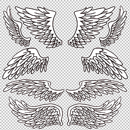 素描風格鳥類翅膀免摳png透明圖層素材