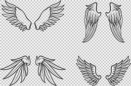 素描風格鳥類翅膀插圖免摳png透明素材