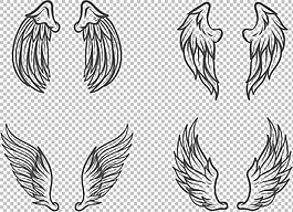 素描風格鳥類翅膀免摳png透明圖層素材