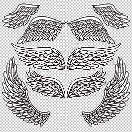 素描風格鳥類翅膀免摳png透明圖層素材