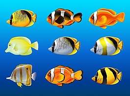 海洋插圖下的各種魚類
