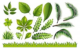 不同類型的綠葉和草插圖