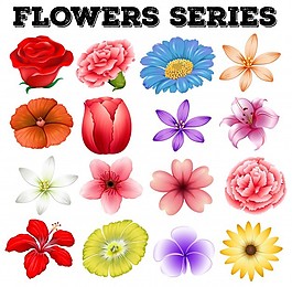 不同种类的花卉插画