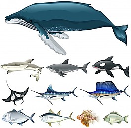 海洋插圖中的一組魚