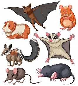 不同種類的小動物插畫