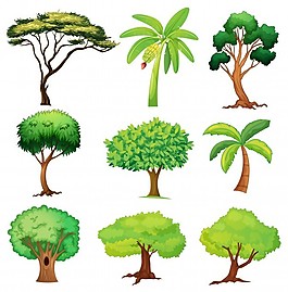 白色背景下各种树木的插图