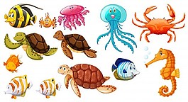 不同種類的海洋動物插畫