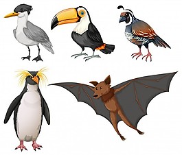 不同種類的野生鳥類插圖