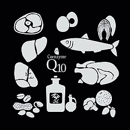 食物插画