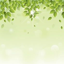 綠葉背景設(shè)計(jì)