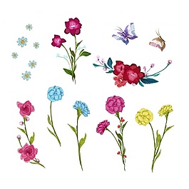 水彩花卉集