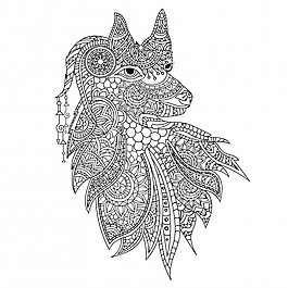 觀賞動(dòng)物的精彩插畫