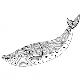 裝飾設(shè)計的奇異鯨魚