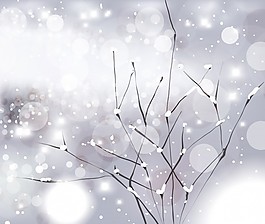 溫度花冰細(xì)節(jié)