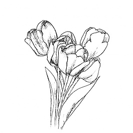 花的背景設(shè)計(jì)