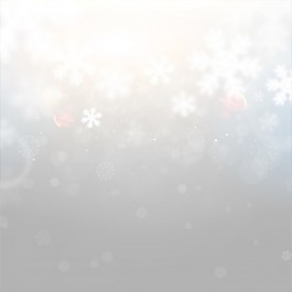 新卡假日冬季飛行