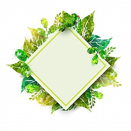 后臺(tái)有詳細(xì)的綠葉和空間供您留言。