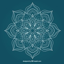 可愛(ài)的小花曼陀羅