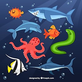 海洋動物