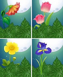 花在月圆之夜，说明不同类型