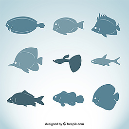 魚類品種
