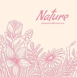 自然的花朵