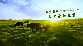 草原牛肉海報(bào)