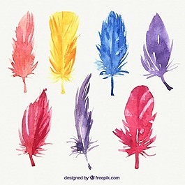 彩色羽毛手绘集