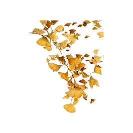簡(jiǎn)約黃色樹葉元素