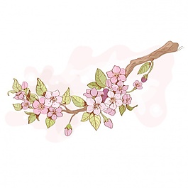 美麗的開花枝
